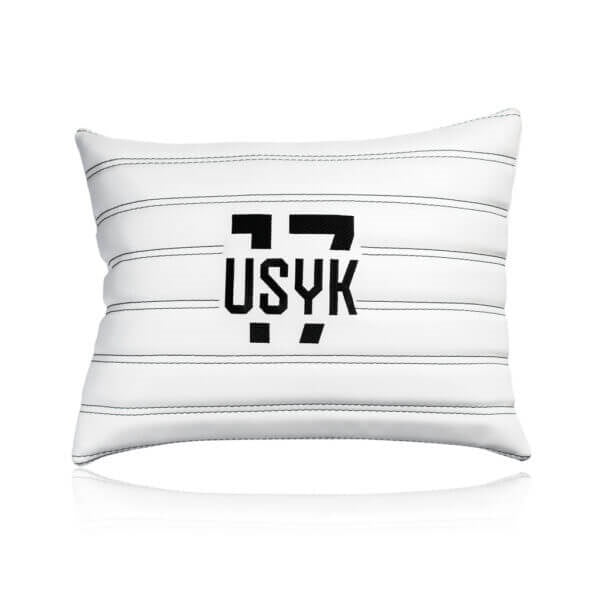 Pillow USYK-17 (Eco leather)