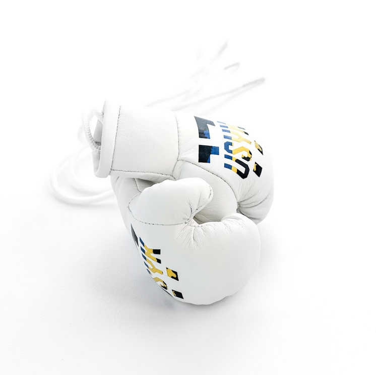 Souvenir Gloves Ukraine Gloves USYK-17